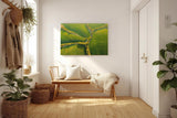 Sinus Art Wandbild 120x80cm Atemberaubende Luftaufnahme mit geometrisch verlaufenden Baumreihen auf sattem Grün