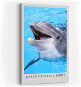 Paul Sinus Kunstdruck 40x60cm Water's Playful Spirit – Fröhlicher Delfin im klaren Wasser in lebendiger Nahaufnahme