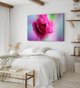 Paul Sinus Wandbild 120x80cm Rose Rosenblüte Rot Blume Blüte Kunstvoll Nahaufnahme