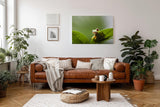 Sinus Art Wandbild 120x80cm Faszinierendes Motiv aus der Tierwelt mit verspieltem Charakter
