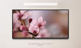 Blumen in rosa ca. 130x70cm Wandbild inklusive Schattenfugenrahmen schwarz - Panorama Leinwand Bild XXL Format Wandbilder Wohnzimmer Wohnung Deko Kunstdrucke
