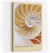 Paul Sinus Kunstdruck 40x60cm Divine Geometry – Nautilus-Muschel in harmonischer Spirale