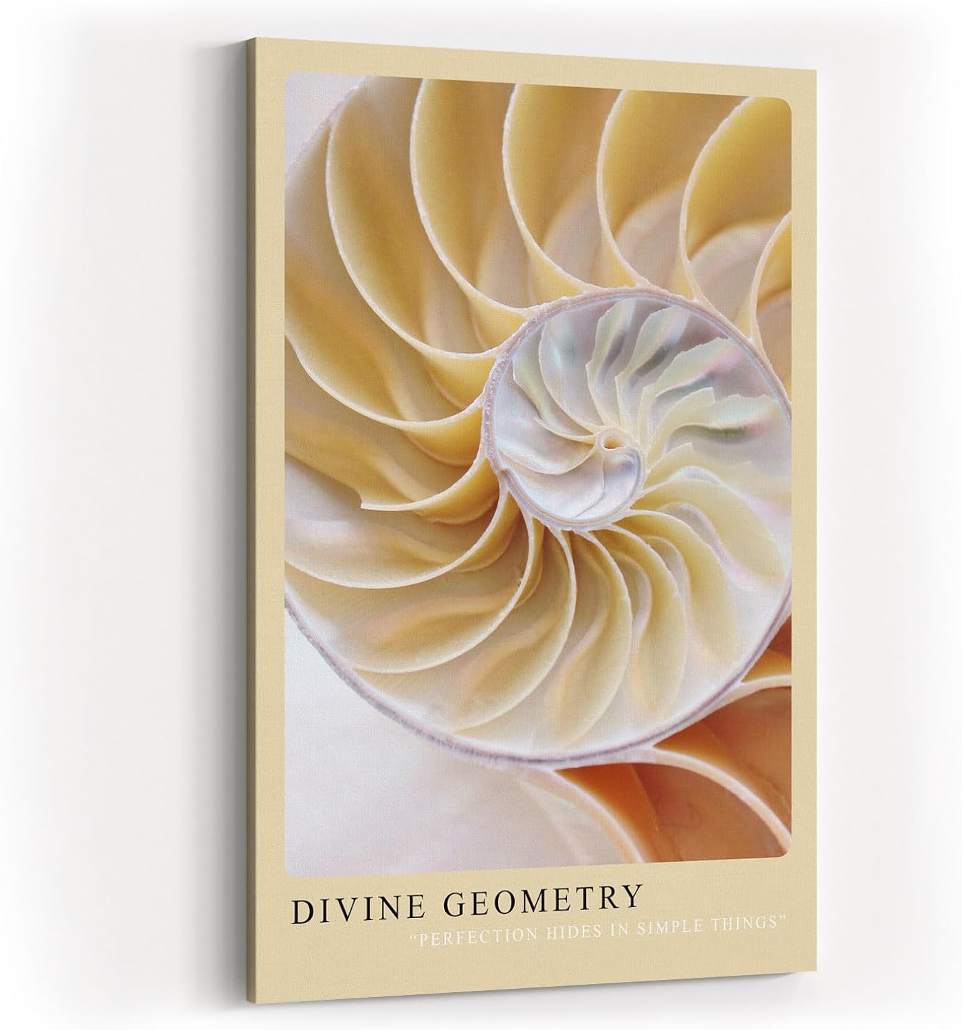 Paul Sinus Kunstdruck 40x60cm Divine Geometry – Nautilus-Muschel in harmonischer Spirale