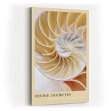 Paul Sinus Kunstdruck 40x60cm Divine Geometry – Nautilus-Muschel in harmonischer Spirale