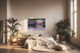 Sinus Art Wandbild 120x80cm Zartrosa Seerose auf dunklem Wasser mit Reflexion – ruhig, edel und harmonisch