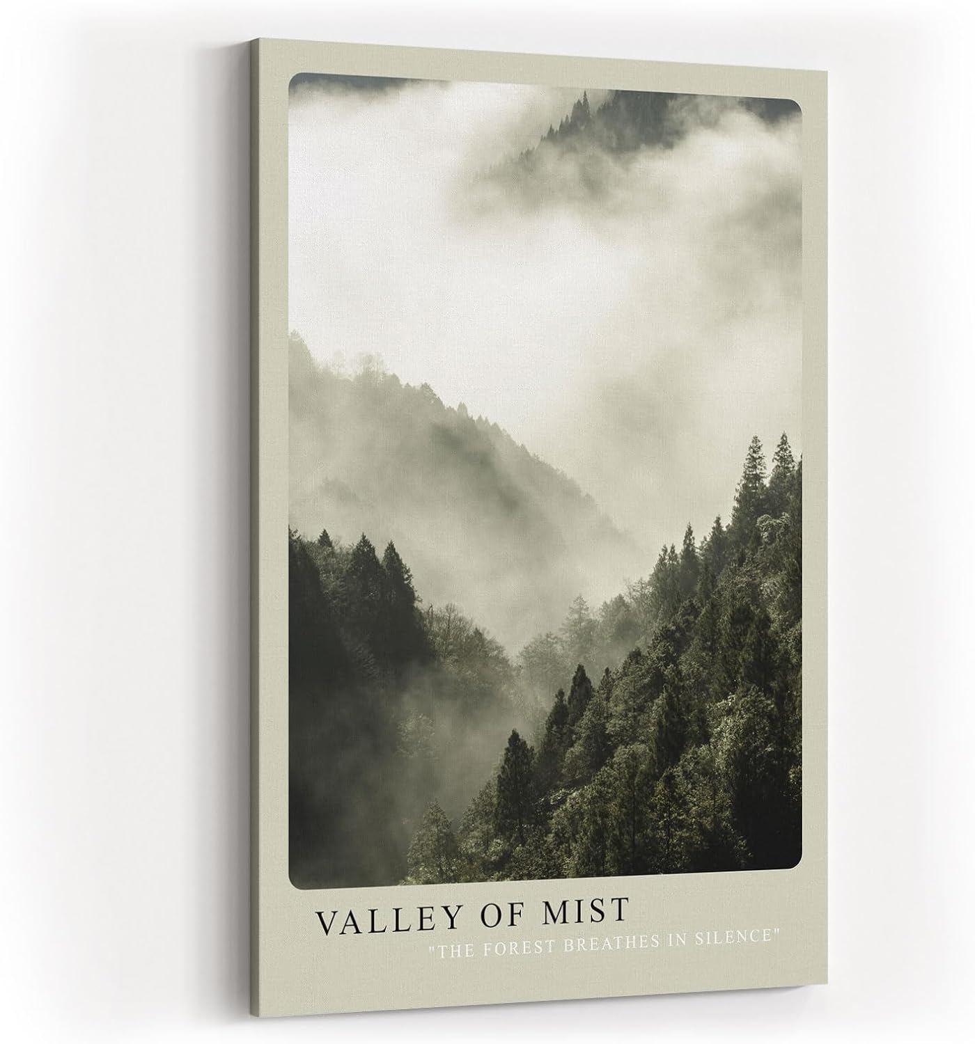 Paul Sinus Kunstdruck 40x60cm Wald Nebel Berge Stille Natur Fotografie Valley of Mist