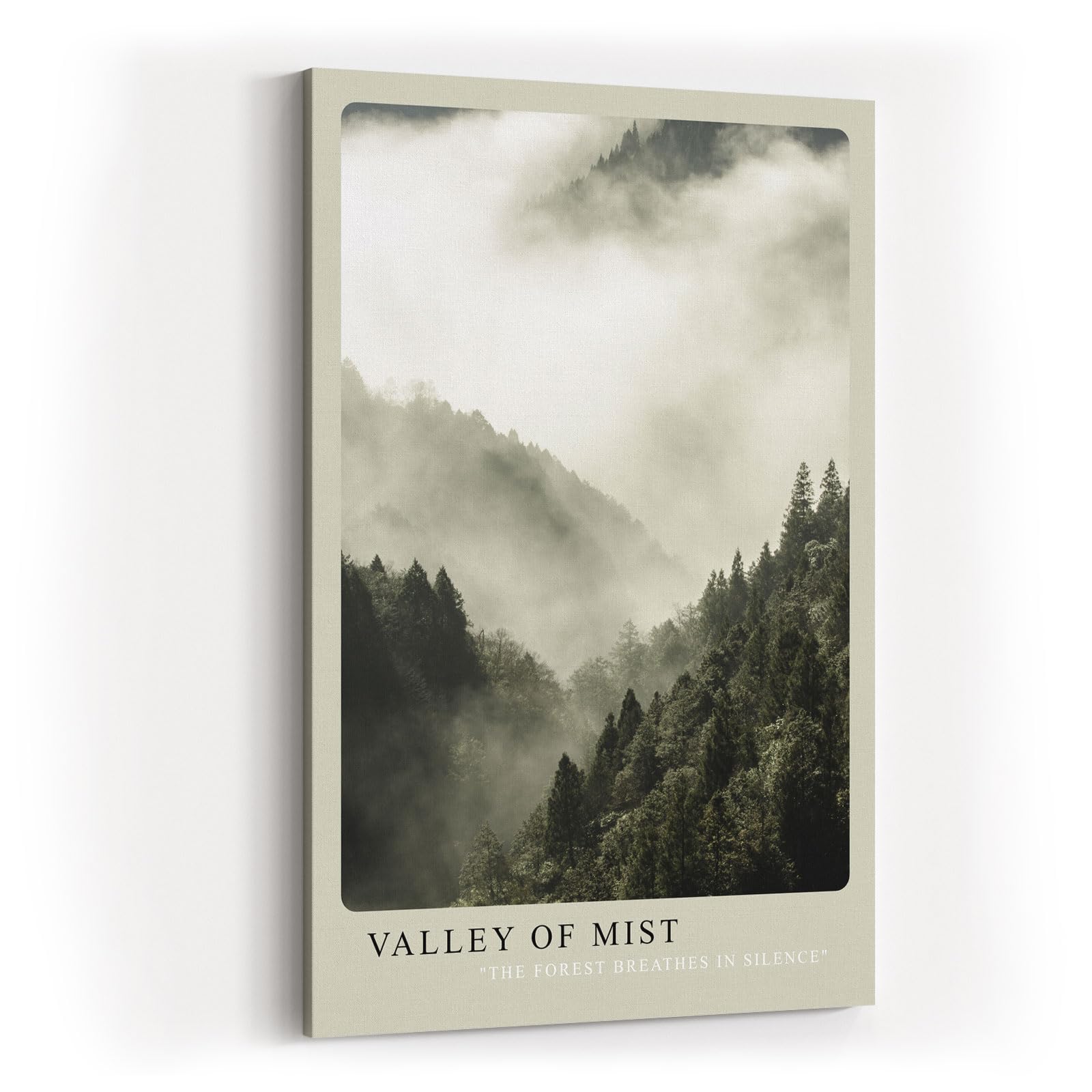 Paul Sinus Kunstdruck 40x60cm Wald Nebel Berge Stille Natur Fotografie Valley of Mist