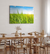 Paul Sinus Wandbild 120x80cm Weizenfeld Weizen Sommer blauer Himmel Natur