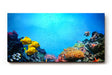 Sinus Art Wandbild 120x80cm Bunte Meeresbewohner und Korallen in einer lebendigen Unterwasserwelt