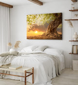 Wandbild 120x80cm Großer Baum Natur Sonnenuntergang Wurzeln Wolken