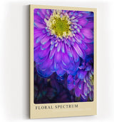 Paul Sinus Kunstdruck 40x60cm Floral Spectrum Violette Blumen in kräftigem Farbspiel Petals Dipped in Cosmic Color