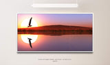 Adler in einer Seen Landschaft ca. 130x70cm Wandbild inklusive Schattenfugenrahmen weiss - Panorama Leinwand Bild XXL Format Wandbilder Wohnzimmer Wohnung Deko Kunstdrucke
