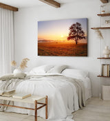 Paul Sinus Wandbild 120x80cm Baum Morgentau Sonnenaufgang Feld Natur Nebel