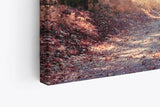 Paul Sinus Wandbild 120x80cm Wald Waldweg Natur Bäume Sonnenstrahlen Herbst