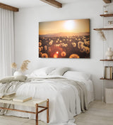 Paul Sinus Wandbild 120x80cm Sommerwiese Pusteblumen Wildblumen Sonnenschein Landschaft