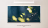 Knospen an einem Ast ca. 130x70cm Wandbild inklusive Schattenfugenrahmen weiss - Panorama Leinwand Bild XXL Format Wandbilder Wohnzimmer Wohnung Deko Kunstdrucke