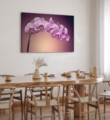 Paul Sinus Wandbild 120x80cm Orchidee Blume Blüten Rosa Kunstvoll Rosa