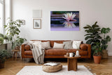 Sinus Art Wandbild 120x80cm Zartrosa Seerose auf dunklem Wasser mit Reflexion – ruhig, edel und harmonisch