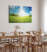 Paul Sinus Wandbild 120x80cm Sommerwiese Löwenzahn Sonnenschein Bäume Natur