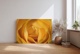 Sinus Art Wandbild 120x80cm Detailreiche Makroaufnahme einer gelben Rose – Symbol für Freundschaft und Freude