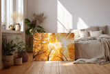 Sinus Art Wandbild 120x80cm Faszinierender Blick durch herbstlich gefärbte Baumwipfel in warmem Licht
