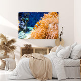 Paul Sinus Wandbild 120x80cm Clownfisch Korallen unter Wasser Fisch Farbenfroh