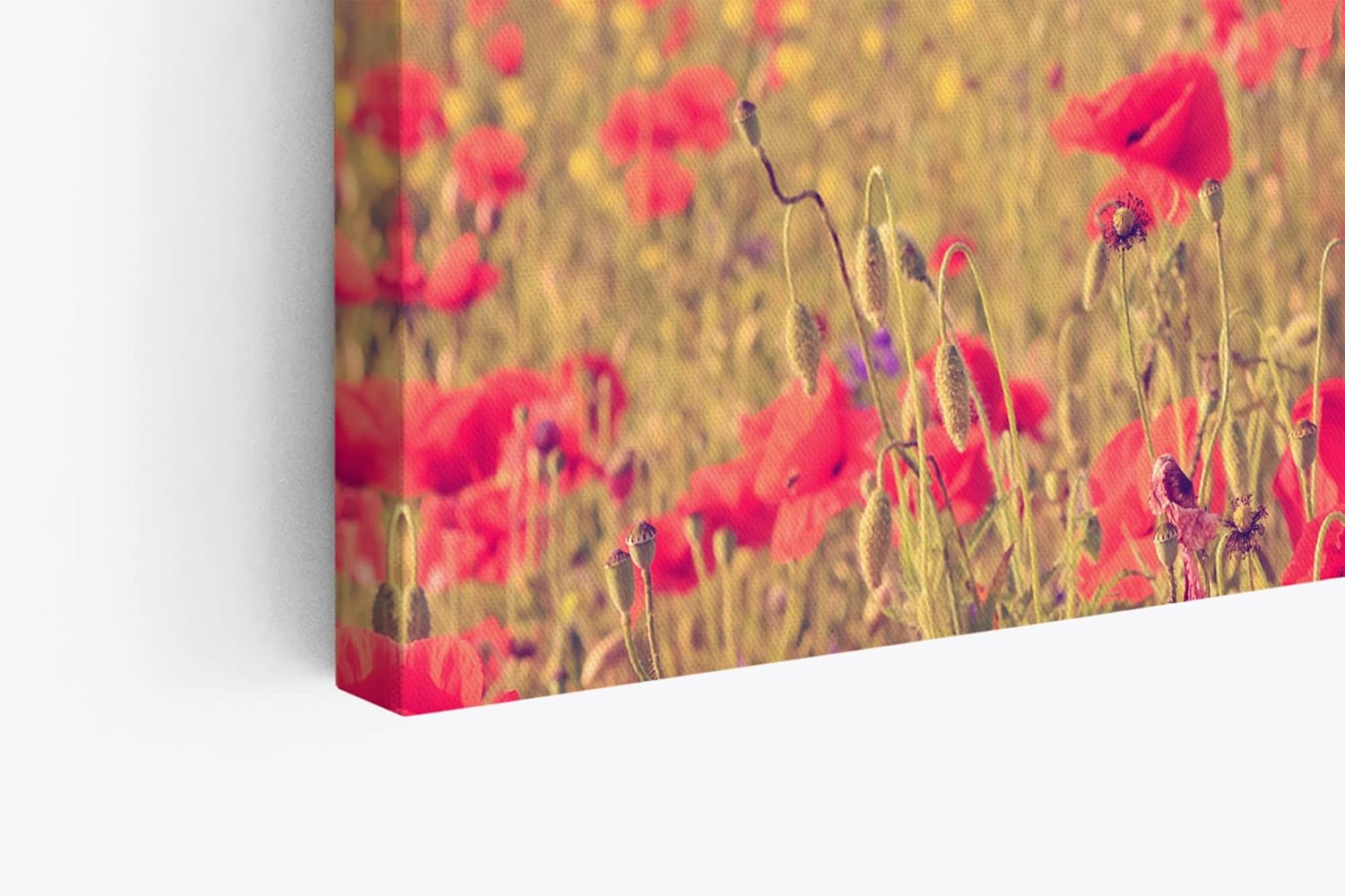 Wandbild 120x80cm Baum Eiche Rote Blumen Blüten Sommer Natur Wildblumen
