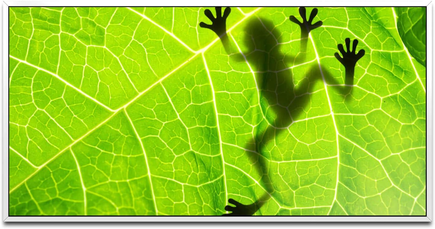 Frosch hinter einem Blatt ca. 130x70cm Wandbild inklusive Schattenfugenrahmen weiss - Panorama Leinwand Bild XXL Format Wandbilder Wohnzimmer Wohnung Deko Kunstdrucke