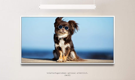 Hund mit Sonnenbrille ca. 130x70cm Wandbild inklusive Schattenfugenrahmen weiss - Panorama Leinwand Bild XXL Format Wandbilder Wohnzimmer Wohnung Deko Kunstdrucke