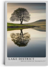 Paul Sinus Leinwandbild 40x60cm idyllische Landschaft mit einsamem Baum und perfekter Spiegelung, beruhigende Wandkunst mit sanften Naturtönen