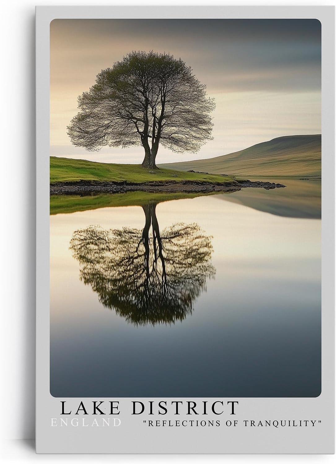 Paul Sinus Leinwandbild 40x60cm idyllische Landschaft mit einsamem Baum und perfekter Spiegelung, beruhigende Wandkunst mit sanften Naturtönen