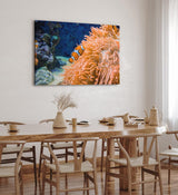 Paul Sinus Wandbild 120x80cm Clownfisch Korallen unter Wasser Fisch Farbenfroh