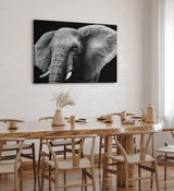 Paul Sinus Wandbild 120x80cm Elefant Stoßzähne Schwarz Weiß Tierfotografie Kunstvoll