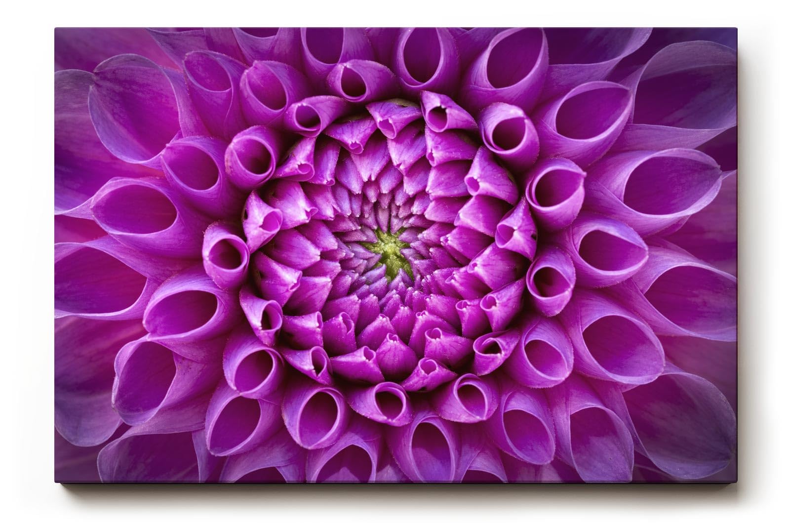 Sinus Art Wandbild 120x80cm Symmetrische Blütenarchitektur in kräftigem Violett mit ausdrucksstarker Mitte