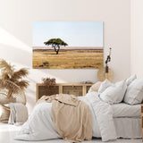 Paul Sinus Wandbild 120x80cm Afrikanische Landschaft Burkea Africana Bäume Steppe