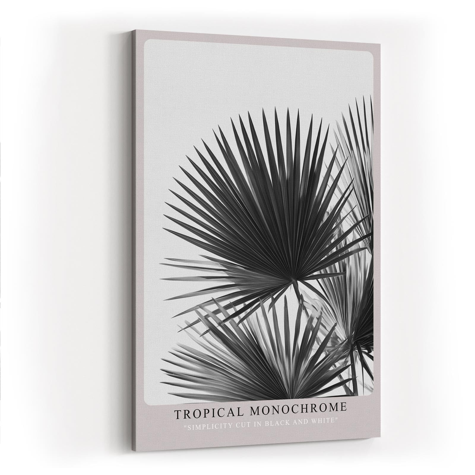 Paul Sinus Wandbild in 40x60cm Tropical Monochrome – stilvolle Palmenblätter in Schwarz-Weiß Fotokunst für modernes Wohndesign auf hochwertiger Leinwand