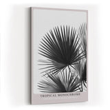 Paul Sinus Wandbild in 40x60cm Tropical Monochrome – stilvolle Palmenblätter in Schwarz-Weiß Fotokunst für modernes Wohndesign auf hochwertiger Leinwand