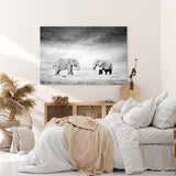 Paul Sinus Wandbild 120x80cm Zwei Elefanten Schwarz Weiß Afrika Tierfotografie