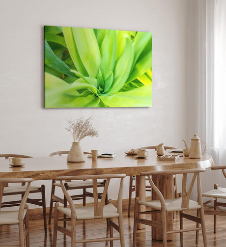 Paul Sinus Wandbild 120x80cm Grüne Pflanze Makrofotografie Kunstvoll Dekorativ