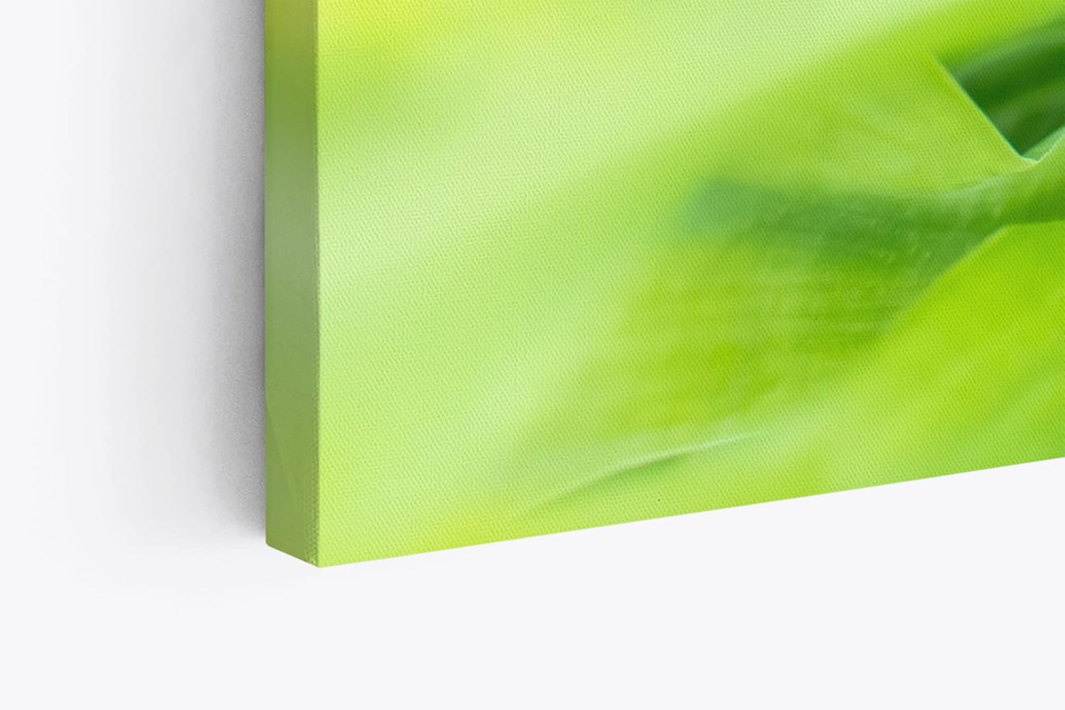 Paul Sinus Wandbild 120x80cm Grüne Pflanze Makrofotografie Kunstvoll Dekorativ