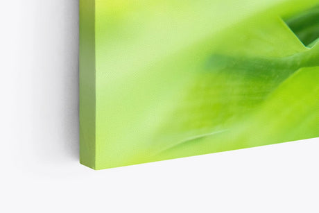 Paul Sinus Wandbild 120x80cm Grüne Pflanze Makrofotografie Kunstvoll Dekorativ