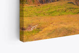 Paul Sinus Wandbild 120x80cm Küste Irland Klippen Meer Landschaftsbild Natur