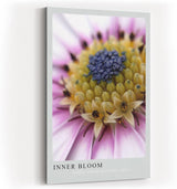 Paul Sinus Kunstdruck 40x60cm Inner Bloom – Blüte im Fokus mit kraftvoller Farbstruktur und Tiefe