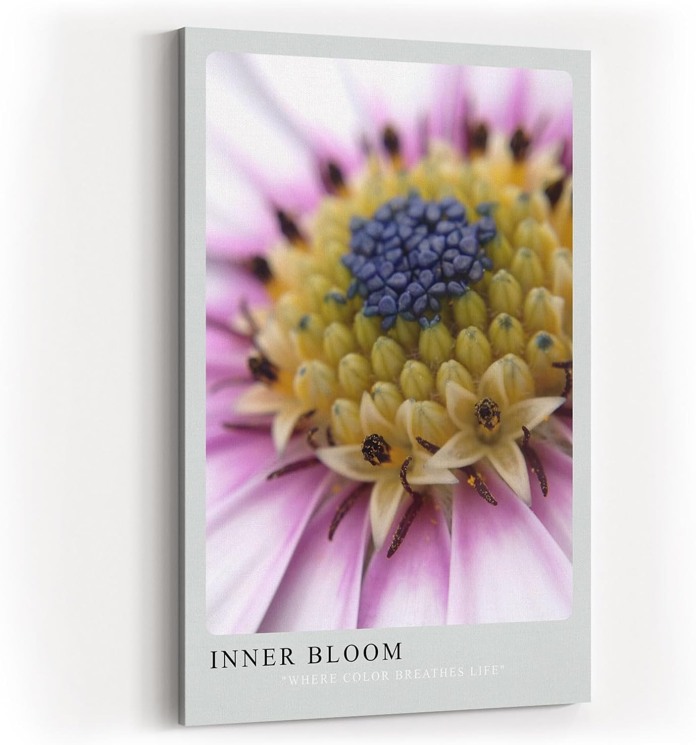 Paul Sinus Kunstdruck 40x60cm Inner Bloom – Blüte im Fokus mit kraftvoller Farbstruktur und Tiefe