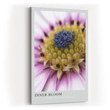 Paul Sinus Kunstdruck 40x60cm Inner Bloom – Blüte im Fokus mit kraftvoller Farbstruktur und Tiefe