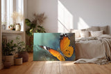Sinus Art Wandbild 120x80cm Detaillierte Nahaufnahme eines orangefarbenen Schmetterlings mit harmonischer Komposition