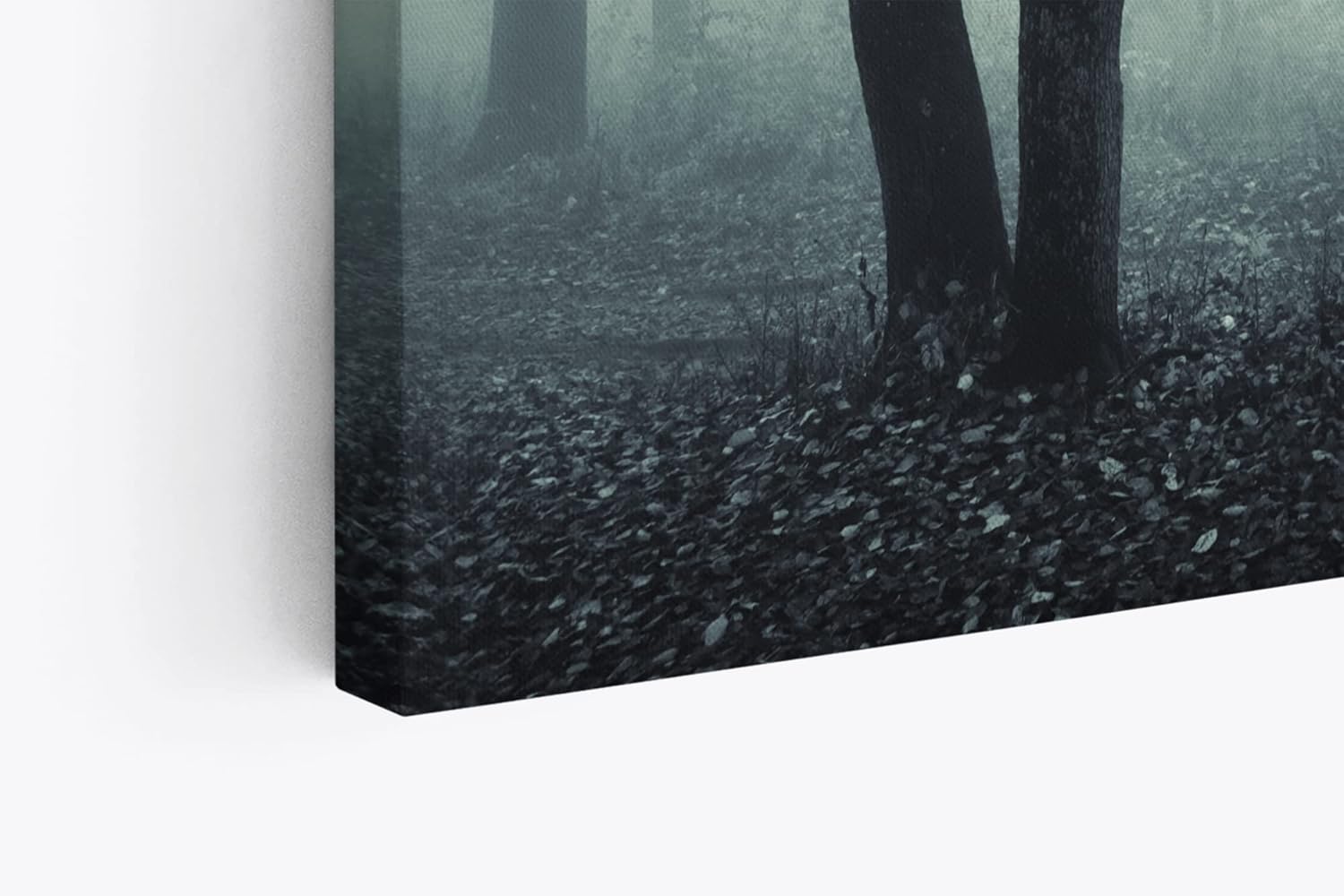 Paul Sinus Wandbild 120x80cm Wald Bäume Dunkel Schwarz Nebel Herbst Mystisch
