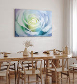 Paul Sinus Wandbild 120x80cm Weiße Rose Blüte Kunstvoll Abstrakt Dekorativ