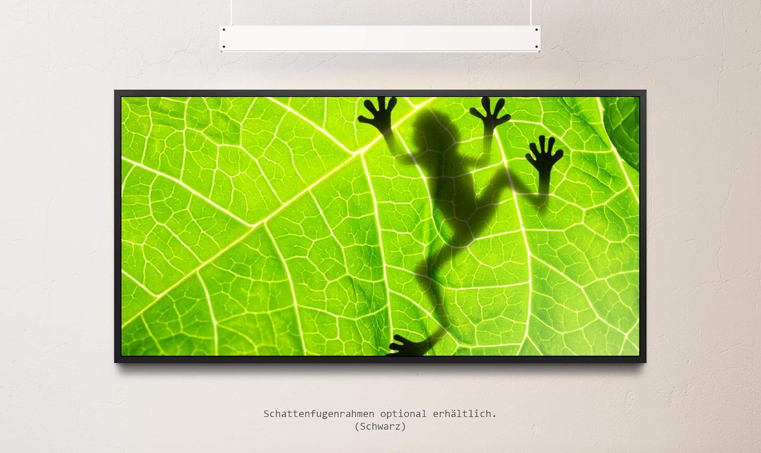 Frosch hinter einem Blatt ca. 130x70cm Wandbild inklusive Schattenfugenrahmen schwarz - Panorama Leinwand Bild XXL Format Wandbilder Wohnzimmer Wohnung Deko Kunstdrucke