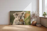 Sinus Art Wandbild 120x80cm Liebevolle Tieraufnahme mit Koala in natürlicher Pose vor ruhiger Kulisse